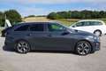 Kia Ceed SW / cee'd SW cee'd Sportswagon 1,6 CRDi SCR ISG Gold 48V Schwarz - thumbnail 5