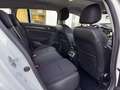 Renault Megane GRANDTOUR BUSINESS BLUE DCI 115 AHK+SITZH Weiß - thumbnail 10