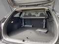 Kia Ceed SW / cee'd SW Sportswagon Ultimate Edition 1.5 T-GDI MHEV Style Schwarz - thumbnail 12