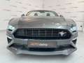 Ford Mustang 2.3 EcoBoost ! 55Th Anniversary ! 20.000 KM Gris - thumbnail 5