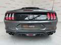 Ford Mustang 2.3 EcoBoost ! 55Th Anniversary ! 20.000 KM Gris - thumbnail 6