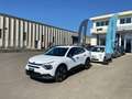 Citroen C4 X *PROMO* PureTech 100 S&S FEEL Bianco - thumbnail 1