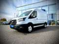 Ford Transit Transit Kasten 350L2H2 Trend 2,0 EcoBlue 165PS ... Weiß - thumbnail 3