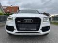 Audi SQ5 SQ5 plus 3,0 TDI quattro Tiptronic Weiß - thumbnail 1