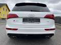 Audi SQ5 SQ5 plus 3,0 TDI quattro Tiptronic Weiß - thumbnail 11