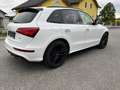 Audi SQ5 SQ5 plus 3,0 TDI quattro Tiptronic Weiß - thumbnail 12