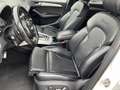 Audi SQ5 SQ5 plus 3,0 TDI quattro Tiptronic Weiß - thumbnail 18