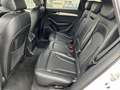 Audi SQ5 SQ5 plus 3,0 TDI quattro Tiptronic Weiß - thumbnail 17