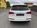 Audi SQ5 SQ5 plus 3,0 TDI quattro Tiptronic Weiß - thumbnail 10
