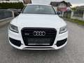 Audi SQ5 SQ5 plus 3,0 TDI quattro Tiptronic Weiß - thumbnail 6