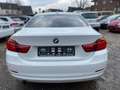 BMW 420 d Coupe Aut. Sport Line Scheckheft 8Fachbereift White - thumbnail 5