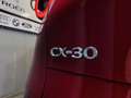 Mazda CX-30 2.0 Skyactiv-G Evolution 2WD 90kW Rosso - thumbnail 38