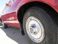 Ford Gran Torino Elite Rojo - thumbnail 23