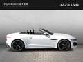 Jaguar F-Type Cabrio P450 RWD 75  PDC vo. und hi. Black Pack Weiß - thumbnail 6