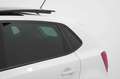 Volkswagen Polo 1.2 TSI DSG Highline Bianco - thumbnail 14