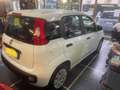Fiat Panda Panda 1.2 Lounge Bianco - thumbnail 5