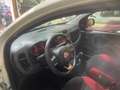 Fiat Panda Panda 1.2 Lounge Bianco - thumbnail 9