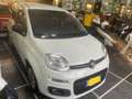 Fiat Panda Panda 1.2 Lounge Bianco - thumbnail 3