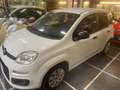 Fiat Panda Panda 1.2 Lounge Bianco - thumbnail 1