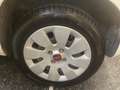 Fiat Panda Panda 1.2 Lounge Bianco - thumbnail 8