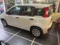 Fiat Panda Panda 1.2 Lounge Bianco - thumbnail 4