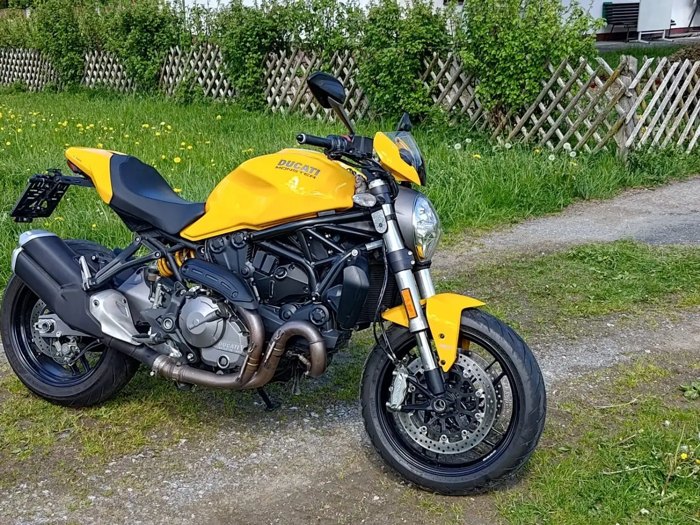 Ducati Monster 821 Geel - 1