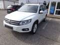 Volkswagen Tiguan Track & Style 4Motion DSG österr.Zul. Weiß - thumbnail 2
