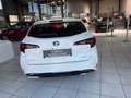 Toyota Corolla Touring Sports Hybrid Business Edition Rückfahrkam Weiß - thumbnail 8