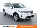 Land Rover Discovery Sport P300e Hybrid AWD Aut. *LED*SPUR*CAM*PANO* Weiß - thumbnail 8