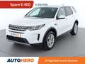 Land Rover Discovery Sport P300e Hybrid AWD Aut. *LED*SPUR*CAM*PANO* Weiß - thumbnail 1