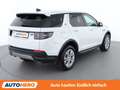Land Rover Discovery Sport P300e Hybrid AWD Aut. *LED*SPUR*CAM*PANO* Blanc - thumbnail 6