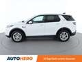 Land Rover Discovery Sport P300e Hybrid AWD Aut. *LED*SPUR*CAM*PANO* Weiß - thumbnail 3