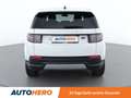 Land Rover Discovery Sport P300e Hybrid AWD Aut. *LED*SPUR*CAM*PANO* Weiß - thumbnail 5