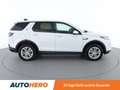 Land Rover Discovery Sport P300e Hybrid AWD Aut. *LED*SPUR*CAM*PANO* Weiß - thumbnail 7