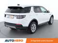 Land Rover Discovery Sport P300e Hybrid AWD Aut. *LED*SPUR*CAM*PANO* Weiß - thumbnail 6
