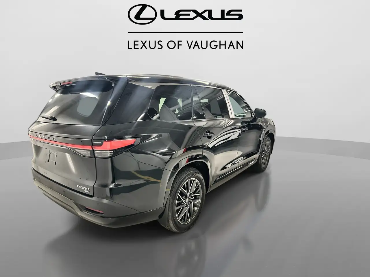 Lexus TX 350 photo Lexus TX 350