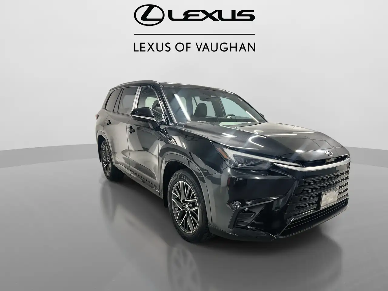 Lexus TX 350 photo Lexus TX 350