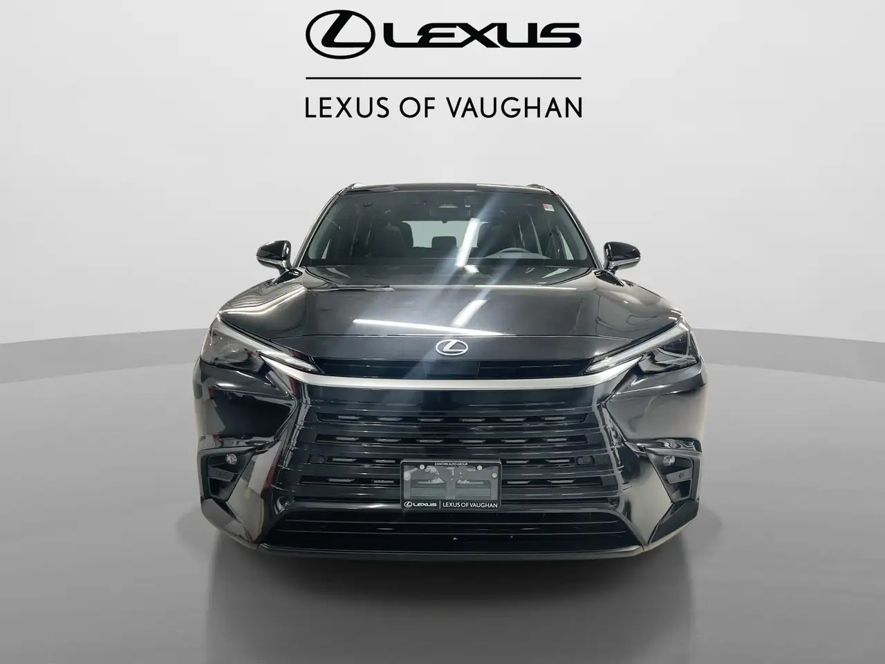 Lexus TX 350 photo Lexus TX 350