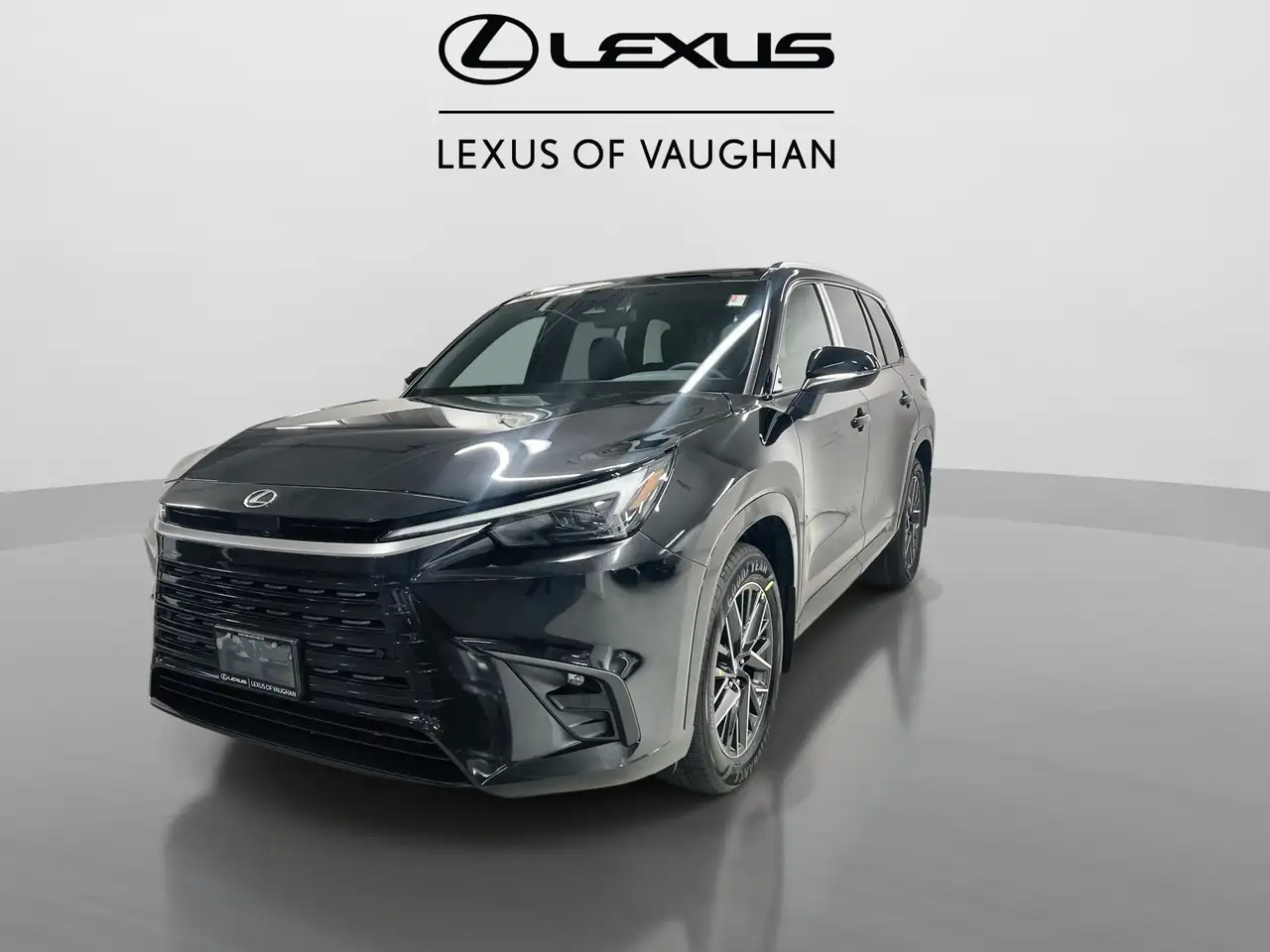 Lexus TX 350 photo Lexus TX 350