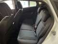 Ford Fiesta 5p 1.5 tdci Business 75cv UNICO PROPRIETARIO Bianco - thumbnail 10