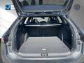 Volkswagen Passat Variant Passat 2.0 TSI OPF R-Line DSG 4MOTION AHK Navi SHZ Grau - thumbnail 15