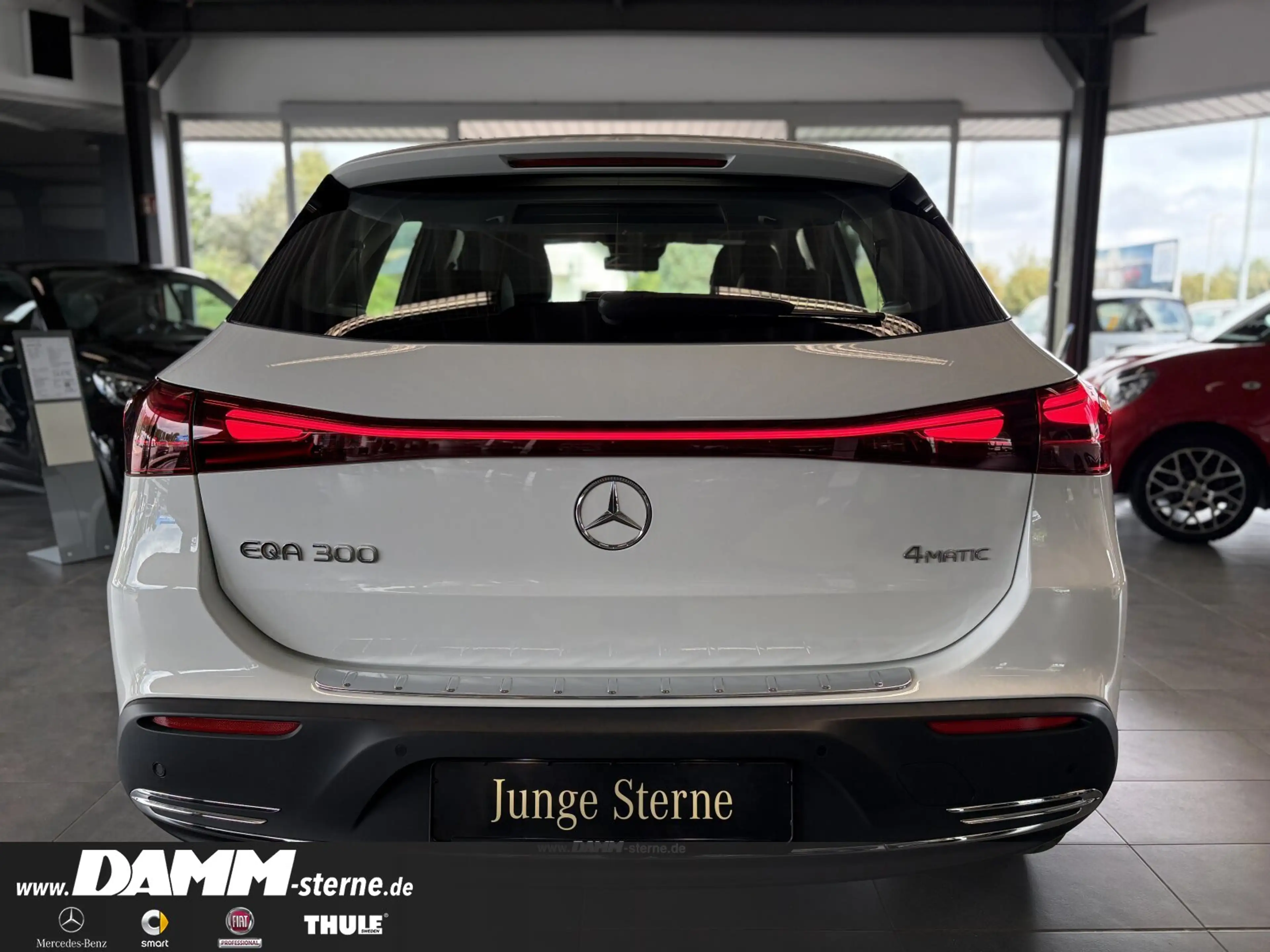 Mercedes-Benz EQA 300 EQA 300 4M Progr. Adv+/AHK/FAP/60 M GA + Flex Navi — photo 6