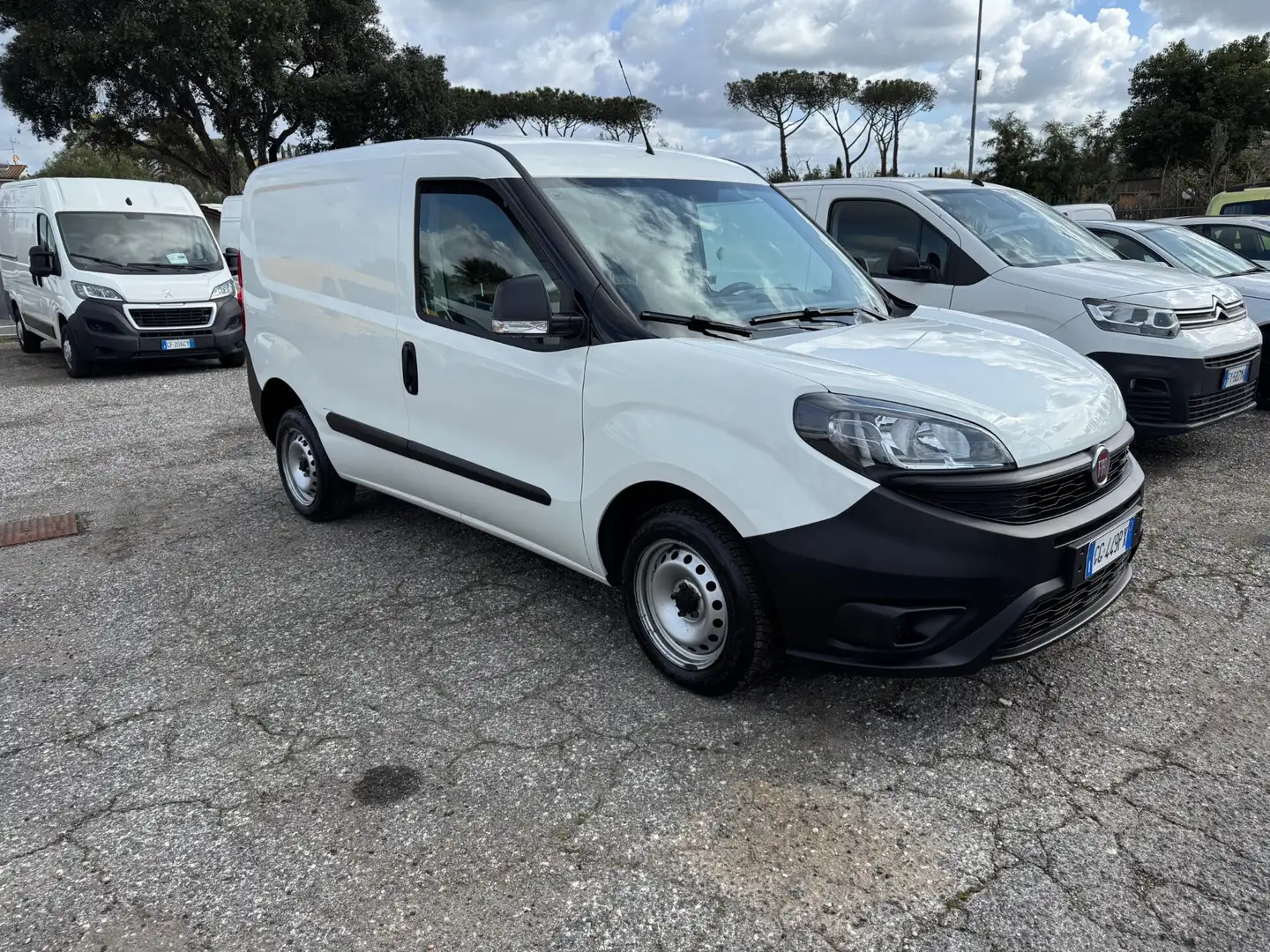Fiat Doblo Doblò 1.6 MJT 90CV S&S PC-TN Cargo Easy Wit - 1