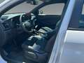 Hyundai TUCSON 1.6- N Line FLA SpurH LM KlimaA Teilled. White - thumbnail 10