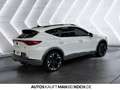 CUPRA Formentor VZ 2.0 TSI 4Drive OPF PDC ACC LED Navi Weiß - thumbnail 5