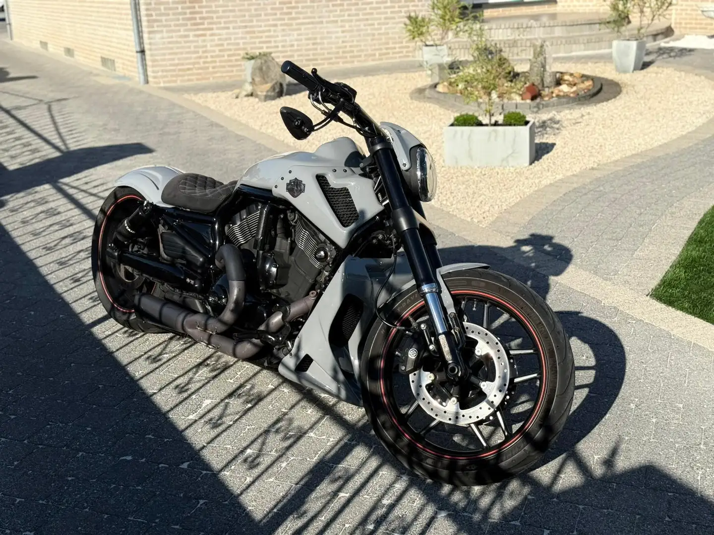 Harley-Davidson Night Rod Special Luchtvering Volledige Custom 1247cc BTW Grau - 1