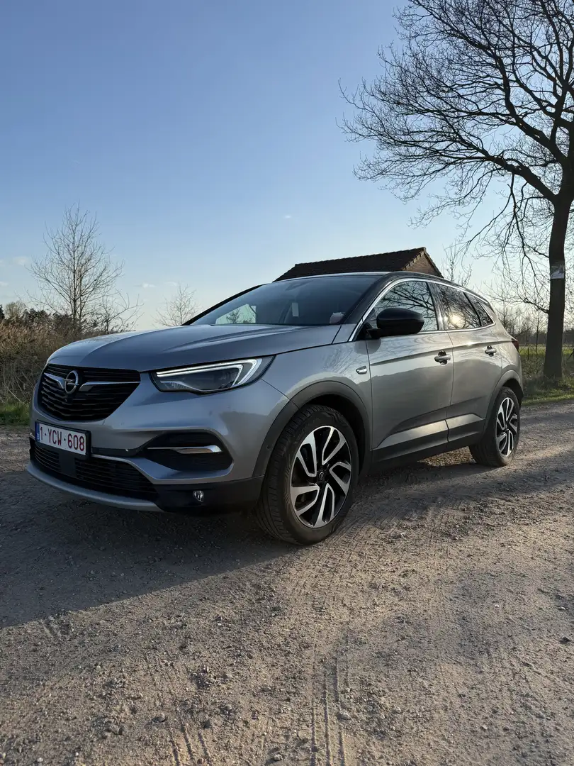 Opel Grandland X - 1