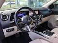 Mercedes-Benz EQA 300 4M Progressive-Advanced/LED/Kamera/Flex Grau - thumbnail 17