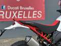 Ducati DesertX Rally | "TVA Déductible" Bianco - thumbnail 11