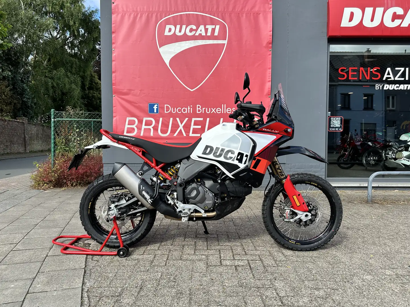 Ducati DesertX Rally | "TVA Déductible" Bianco - 1